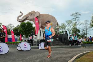 BIB: 
                            <button type="button" onclick="openModal(26529051)" class="btn btn-primary btn-sm float-right btn-popup" data-toggle="modal" data-target=".modal-high-quality">
                        <i class="fas fa-shopping-cart"></i> Add to Cart
                    </button>
                                            <button type="button" onclick="isThisMe(26529051, true)" class="btn btn-success btn-sm float-right btn-popup btn-isme hidden" data-toggle="tooltip" data-placement="bottom" title="นี่คือรูปของคุณใช่ไหม คลิกที่นี่เพื่อเอาเข้าอัลบั้ม">
                        <i class="fas fa-plus"></i> Add to album
                    </button>
                    <button type="button" onclick="isThisMe(26529051, false)" class="btn btn-warning btn-sm float-right btn-popup btn-isnotme hidden">
                        <i class="fas fa-ban"></i> Remove from album
                    </button>